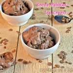 cocoa-pebbles-ice-cream-cravingsofalunatic-2