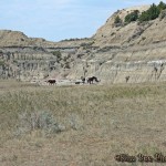 badlands