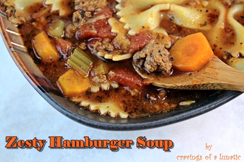 Zesty Hamburger Soup soup