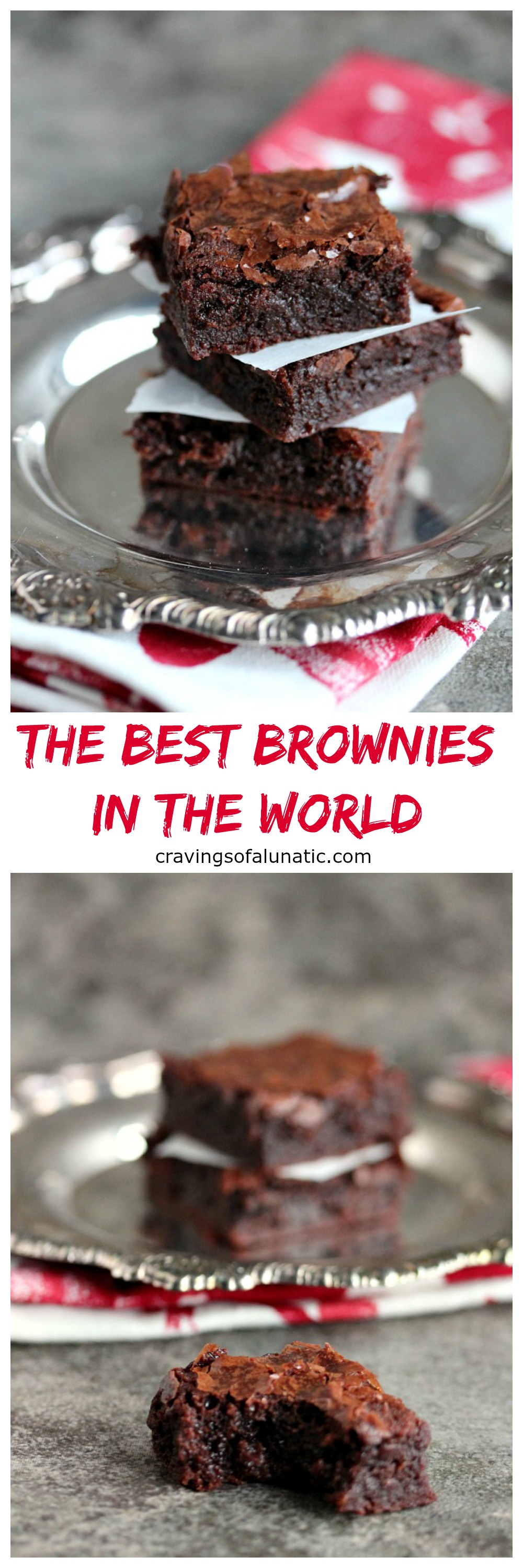 The Best Brownies in the World