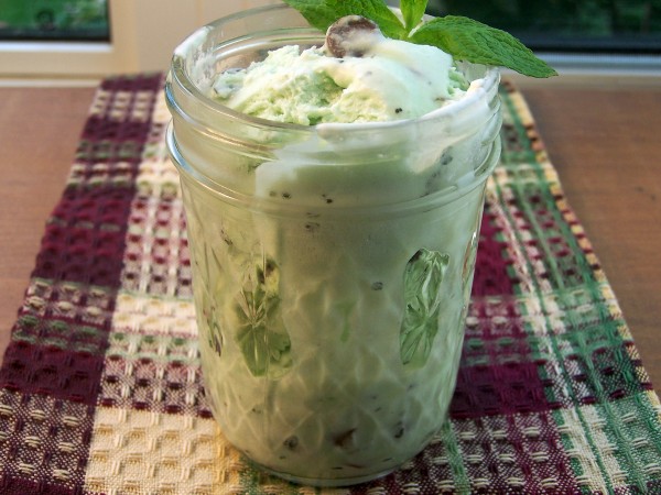 Mint Chocolate Chip Ice Cream by Cravings of a Lunatic