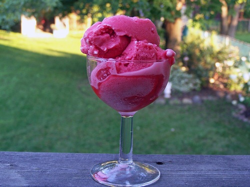 Red Berry Sorbet by Cravings of a Lunatic