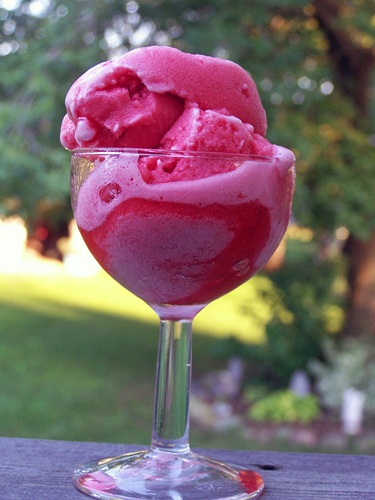 Red Berry Sorbet by Cravings of a Lunatic