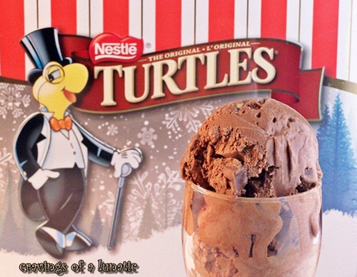 Copycat Turtle Ice Cream | Cravings of a Lunatic | #turtles #chocolate #icecream #dessert