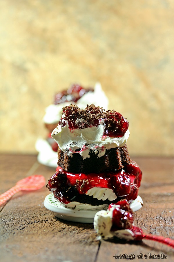 Black Forest Mini Bundt Cakes 