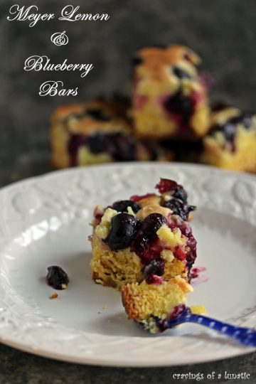 Meyer Lemon and Blueberry Bars on a white plate
