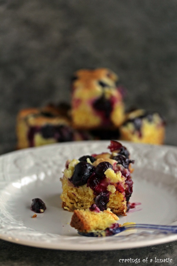 Meyer Lemon and Blueberry Bars on a white plate