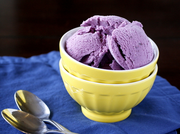 Blueberry Vanilla Ice Cream by What Megan's Making