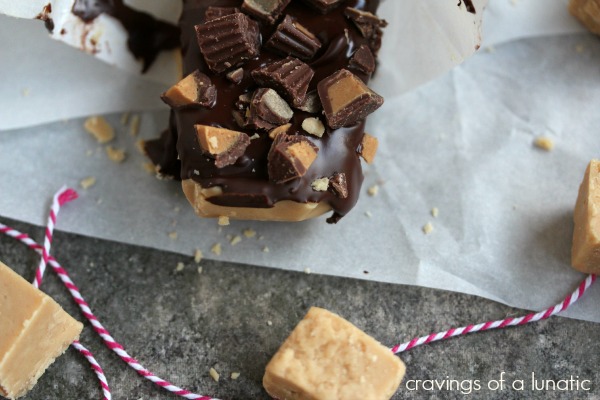 Peanut Butter Fudge is topped with Chocolate and Mini Peanut Butter Cups