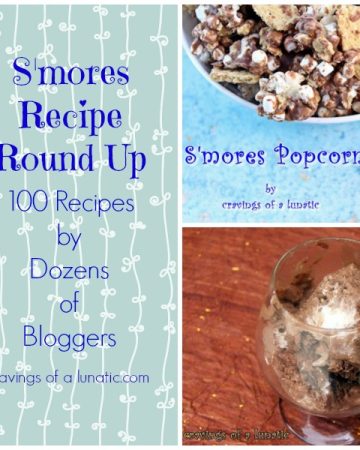S'mores Recipe Round Up by Cravings of a Lunatic