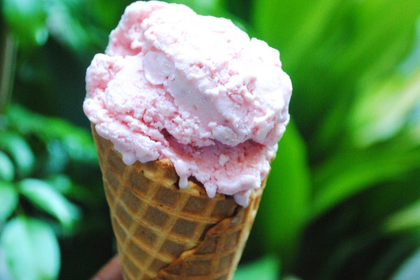 Strawberry and White Balsamic Vinegar Ice Cream by The Duo Dishes