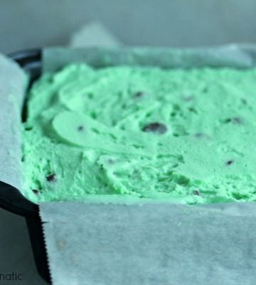 Mint Chocolate Chip Ice Cream Cake 3