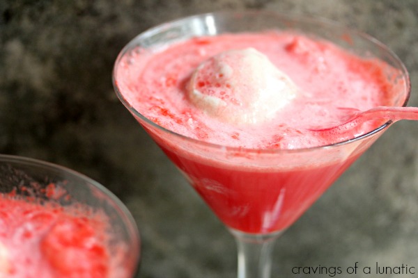 Redpop Floats | Cravings of a Lunatic | #drink #beverage #icecream #frozen #icecreamsundays