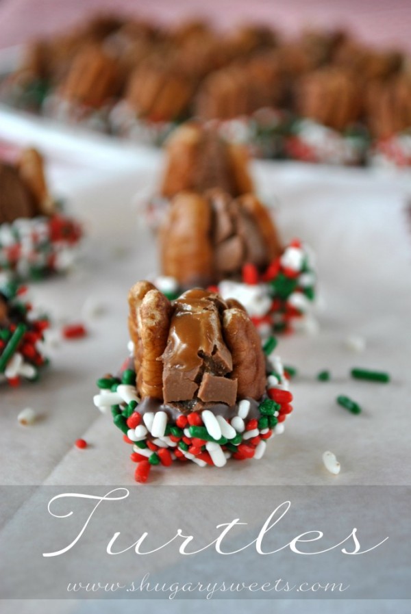 Turtle Bites by Shugary Sweets | Featured on Cravings of a Lunatic's Turtles Recipe Round Up | #turtles #recipe #sweets #chocolate #caramel #pecans 