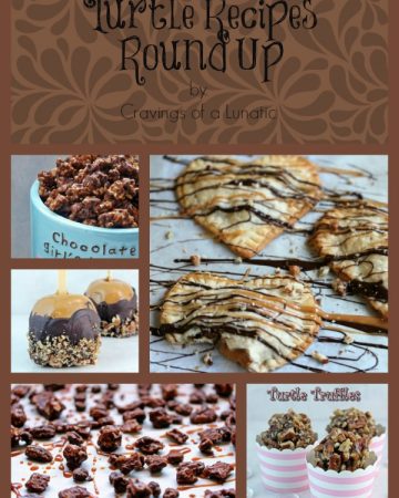 Turtle Recipes Round Up | Cravings of a Lunatic | #turtles #chocolate #caramel #pecans #recipes