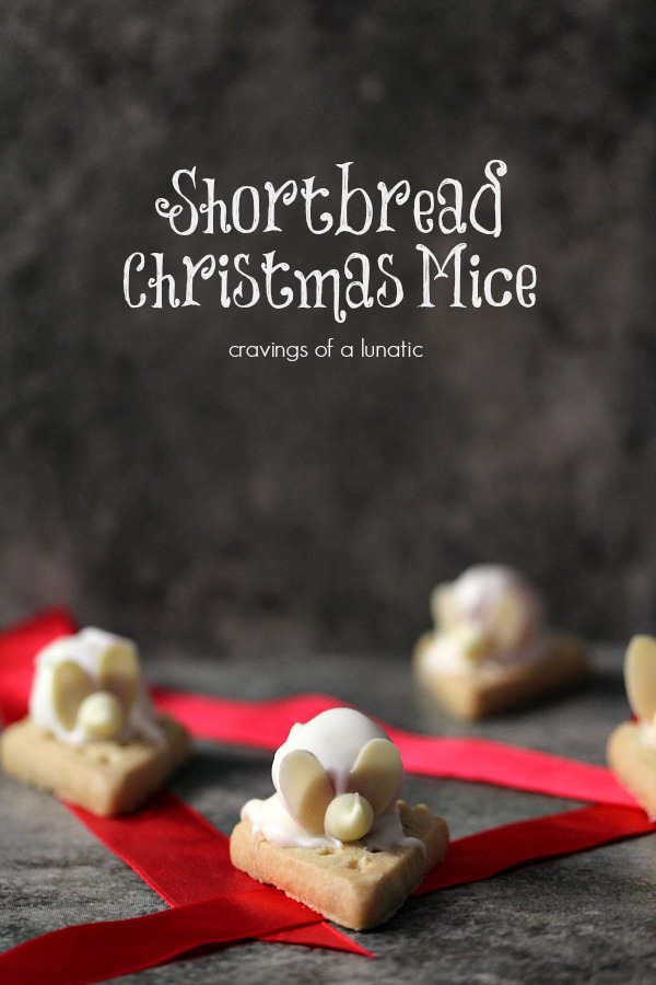 Shortbread Christmas Mice on counter with red ribbon scattered about 