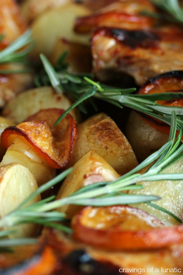 Chicken and Potato Bake with Meyer Lemons with fresh rosemary over top
