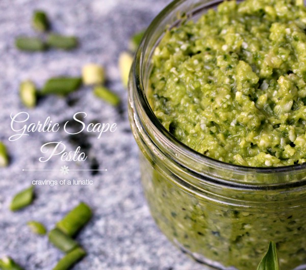 Garlic Scape Pesto | Easy to make and utterly addictive. You will want to top everything you make with this Pesto!