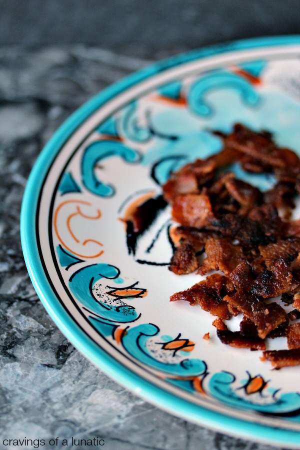 Bacon Bits on a blue, yellow and white patterned plate sitting a grey marble counter