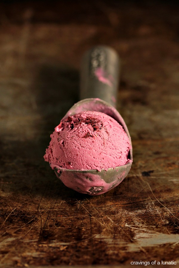 Roasted blueberry cheesecake ice cream scooped into a metal ice cream scoop and sitting on a metal cookie sheet with the ice cream portion facing front. 