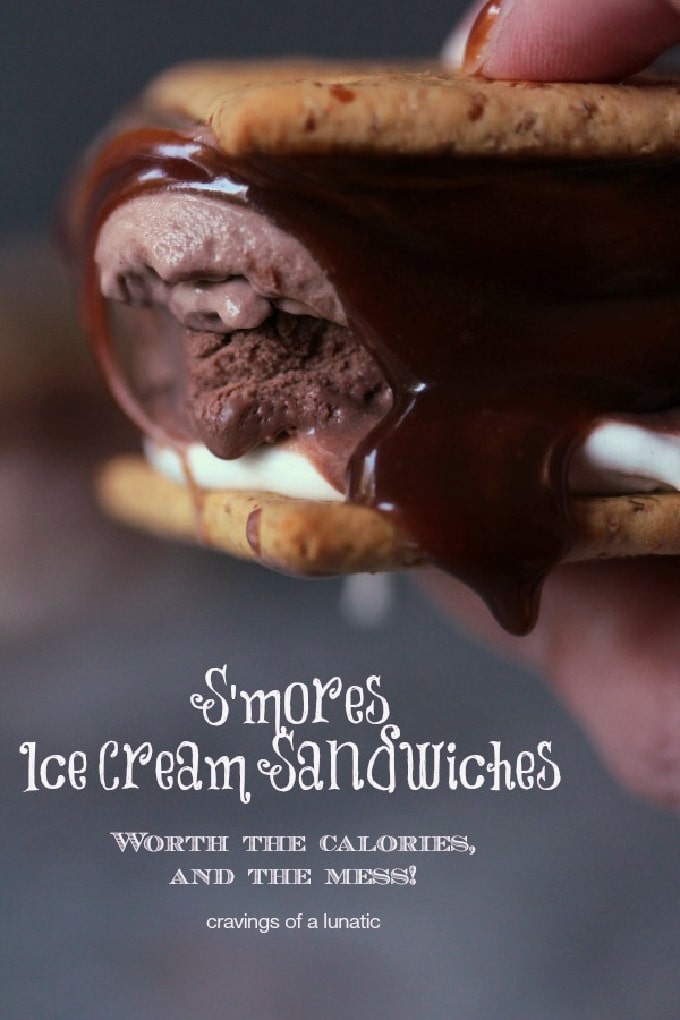 Close up image of S'mores Ice Cream Sandwiches being held in hand