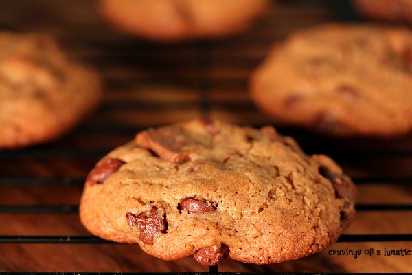 Chocolate Fudge Brownie Cookies on a dark surface.
