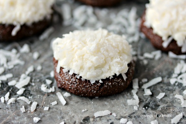Chocolate Coconut Cookies on a grey counter with coconut flakes scattered around