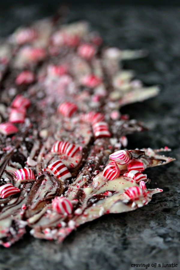 Chocolate Peppermint Bark ready to be broken into pieces.