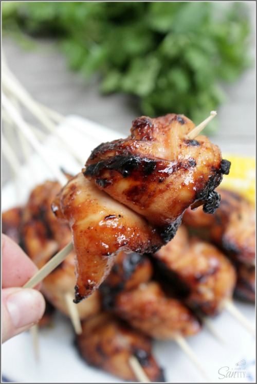 Sweet Maple Barbecue Chicken Kebobs - A Dash of Sanity