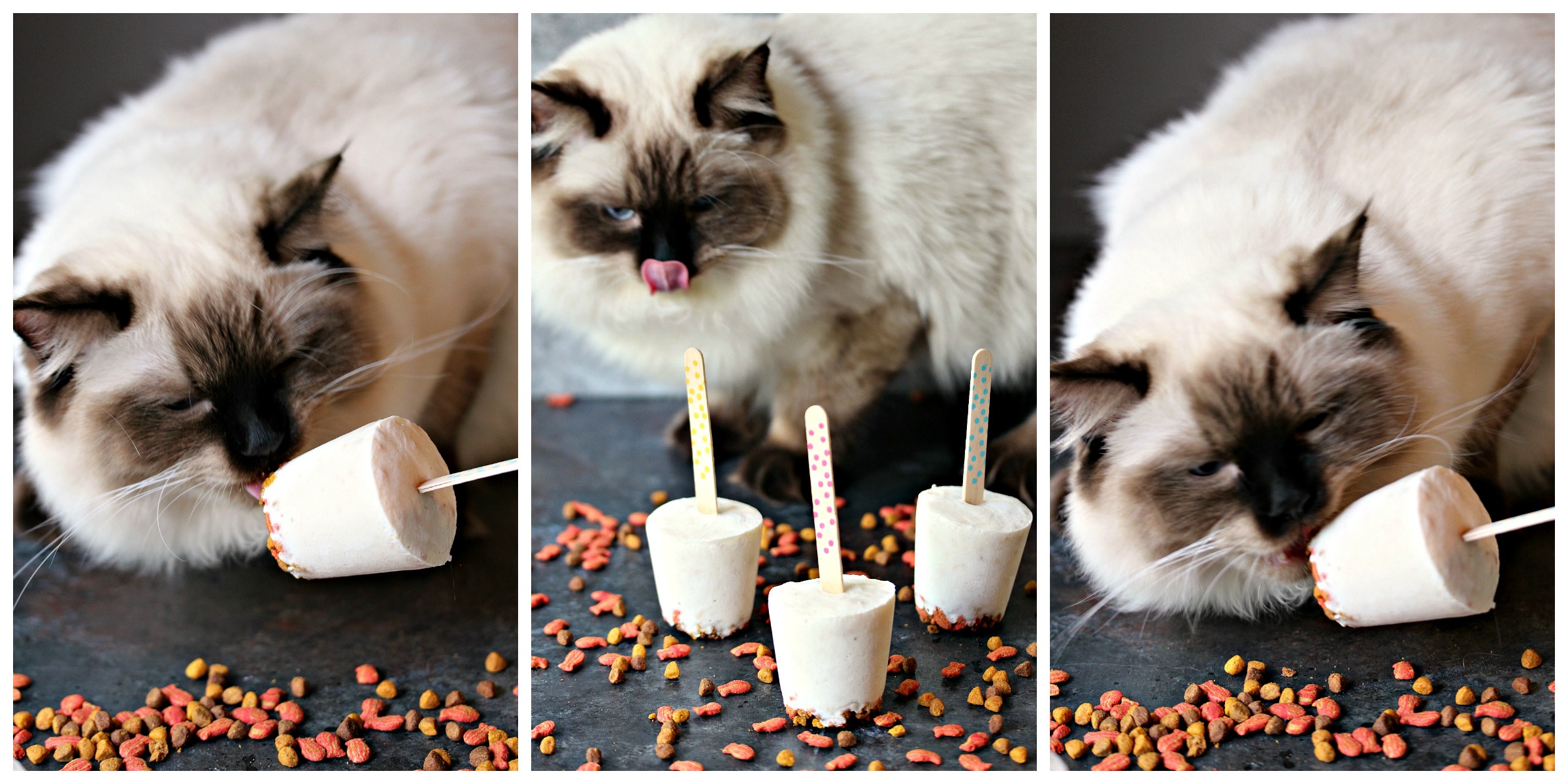 three side by side images of Dixon enjoying his Cat-Friendly Banana Meowsicles 