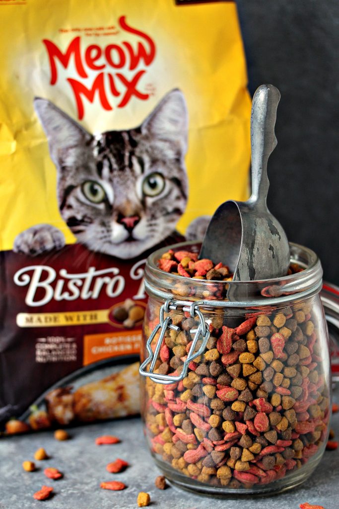 Meow Mix Bistro Dry Cat Food
