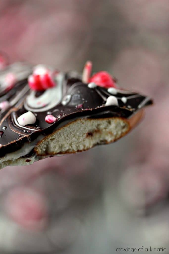 A close up of a piece of pretzel bark with peppermint.
